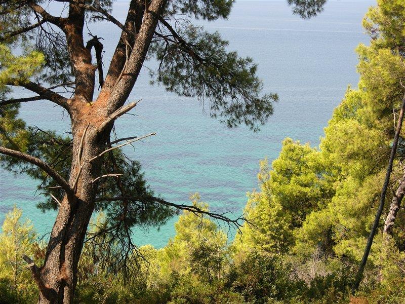 Dryades Hotel Siviri Exteriér fotografie